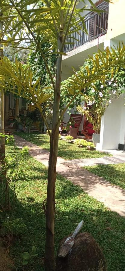 Bed and Breakfast Mandara Rest Hikkaduwa Exterior foto