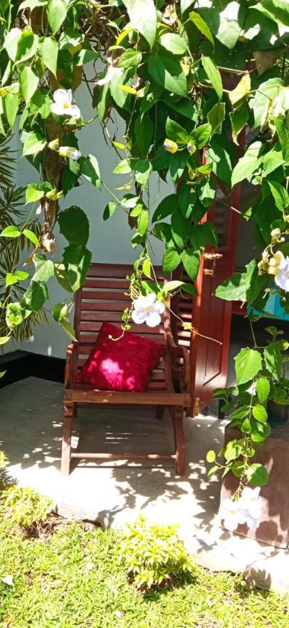 Bed and Breakfast Mandara Rest Hikkaduwa Exterior foto