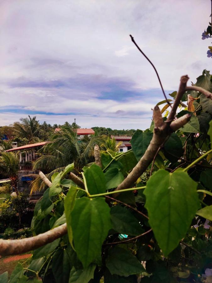 Bed and Breakfast Mandara Rest Hikkaduwa Exterior foto
